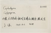 登錄號:B00014468藏品圖，第2張