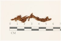 登錄號:B00014468藏品圖，第1張