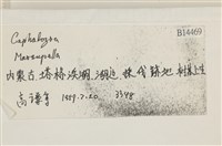 登錄號:B00014469藏品圖，第2張