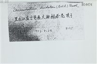 青毛苔藏品圖，第2張