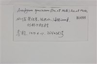 登錄號:B00014595藏品圖，第2張