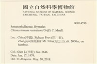 花錦蘚藏品圖，第2張