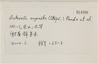 登錄號:B00014599藏品圖，第2張