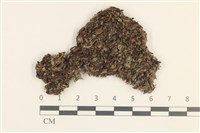 登錄號:B00014599藏品圖，第1張