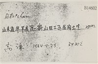 登錄號:B00014602藏品圖，第2張