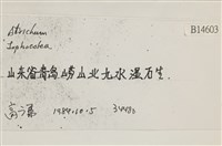 登錄號:B00014603藏品圖，第2張