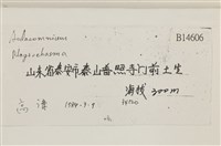 登錄號:B00014606藏品圖，第2張