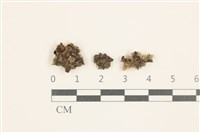 登錄號:B00014606藏品圖，第1張