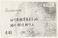 登錄號:B00014615藏品圖，第2張