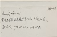 登錄號:B00014617藏品圖，第2張