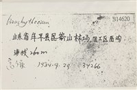 登錄號:B00014620藏品圖，第2張