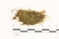 登錄號:B00014622藏品圖，第1張