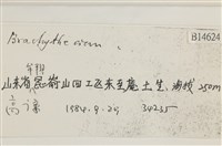 登錄號:B00014624藏品圖，第2張