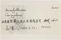 登錄號:B00014625藏品圖，第2張