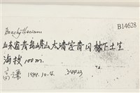 登錄號:B00014628藏品圖，第2張