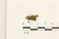 登錄號:B00014628藏品圖，第1張