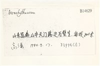 登錄號:B00014629藏品圖，第2張