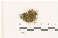 登錄號:B00014630藏品圖，第1張