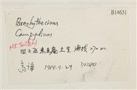 登錄號:B00014631藏品圖，第2張