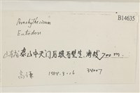 登錄號:B00014635藏品圖，第2張