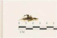 登錄號:B00014640藏品圖，第1張