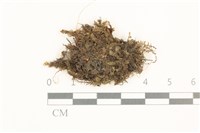 登錄號:B00014641藏品圖，第1張
