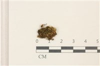 登錄號:B00014643藏品圖，第1張