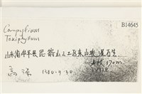 登錄號:B00014645藏品圖，第2張