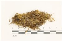 登錄號:B00014645藏品圖，第1張