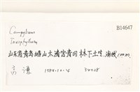 登錄號:B00014647藏品圖，第2張