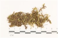 登錄號:B00014647藏品圖，第1張