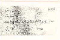 登錄號:B00014648藏品圖，第2張