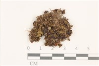 登錄號:B00014648藏品圖，第1張