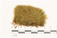 登錄號:B00014649藏品圖，第1張