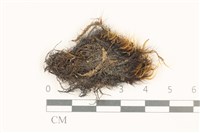 登錄號:B00014650藏品圖，第1張