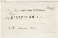 登錄號:B00014656藏品圖，第2張