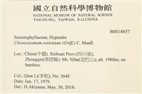 花錦蘚藏品圖，第2張