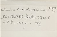 登錄號:B00014658藏品圖，第2張