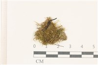 登錄號:B00014660藏品圖，第1張