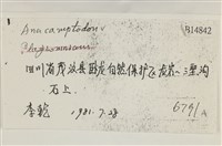 登錄號:B00014842藏品圖，第2張