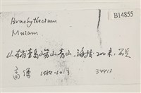 登錄號:B00014855藏品圖，第2張