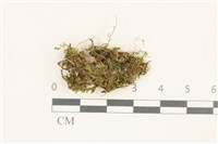 登錄號:B00014855藏品圖，第1張