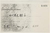 登錄號:B00014856藏品圖，第2張