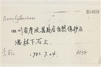 登錄號:B00014858藏品圖，第2張