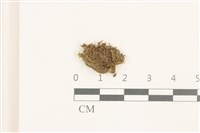 登錄號:B00014860藏品圖，第1張