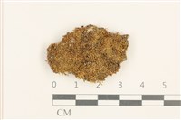 登錄號:B00014862藏品圖，第1張