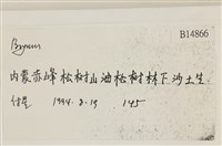 登錄號:B00014866藏品圖，第2張