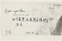 真蘚藏品圖，第2張