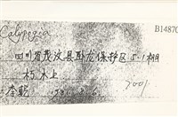 登錄號:B00014870藏品圖，第2張