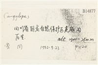 登錄號:B00014877藏品圖，第2張